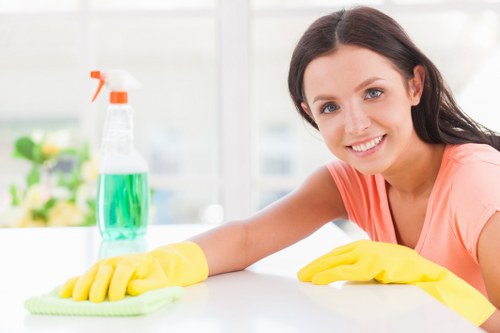 Cleaning operative preparing safe equipment for a deep cleaning task