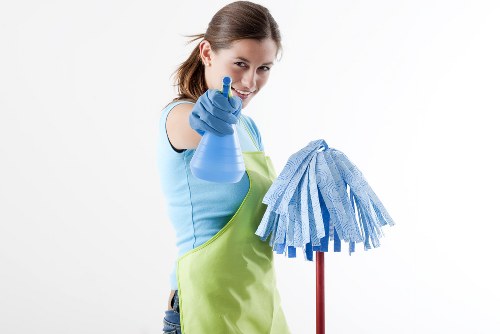 Professional window cleaning service for Camden homes and businesses