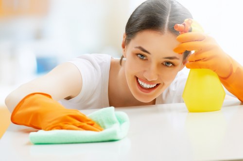 Cleaner in Camden providing domestic cleaning in a local flat