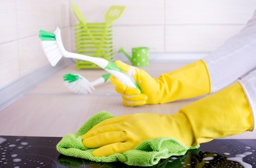 Deep cleaning treatment for rugs in a Camden property
