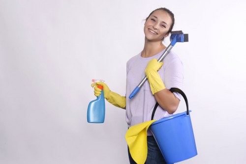 Detailed cleaning of property surfaces in Camden