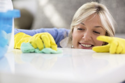 Audit and due diligence checks in a cleaning supply chain