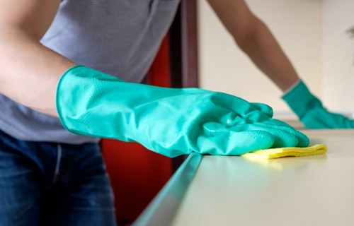 Deep cleaning a carpet in a Camden flat