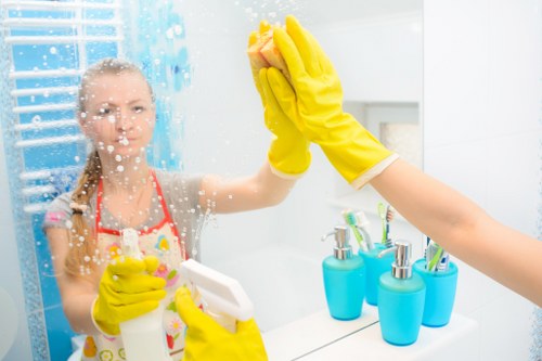 Regular house cleaning service for a Camden household