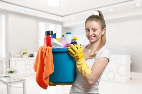 Kitchen deep cleaning surfaces and fittings